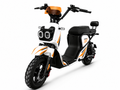 LITTLE CANNON